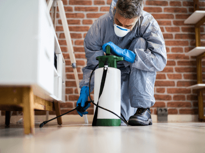 About PEST OFF PEST CONTROL LLC - pest control service experts in Greenacres